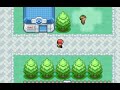Pokémon fire red #4