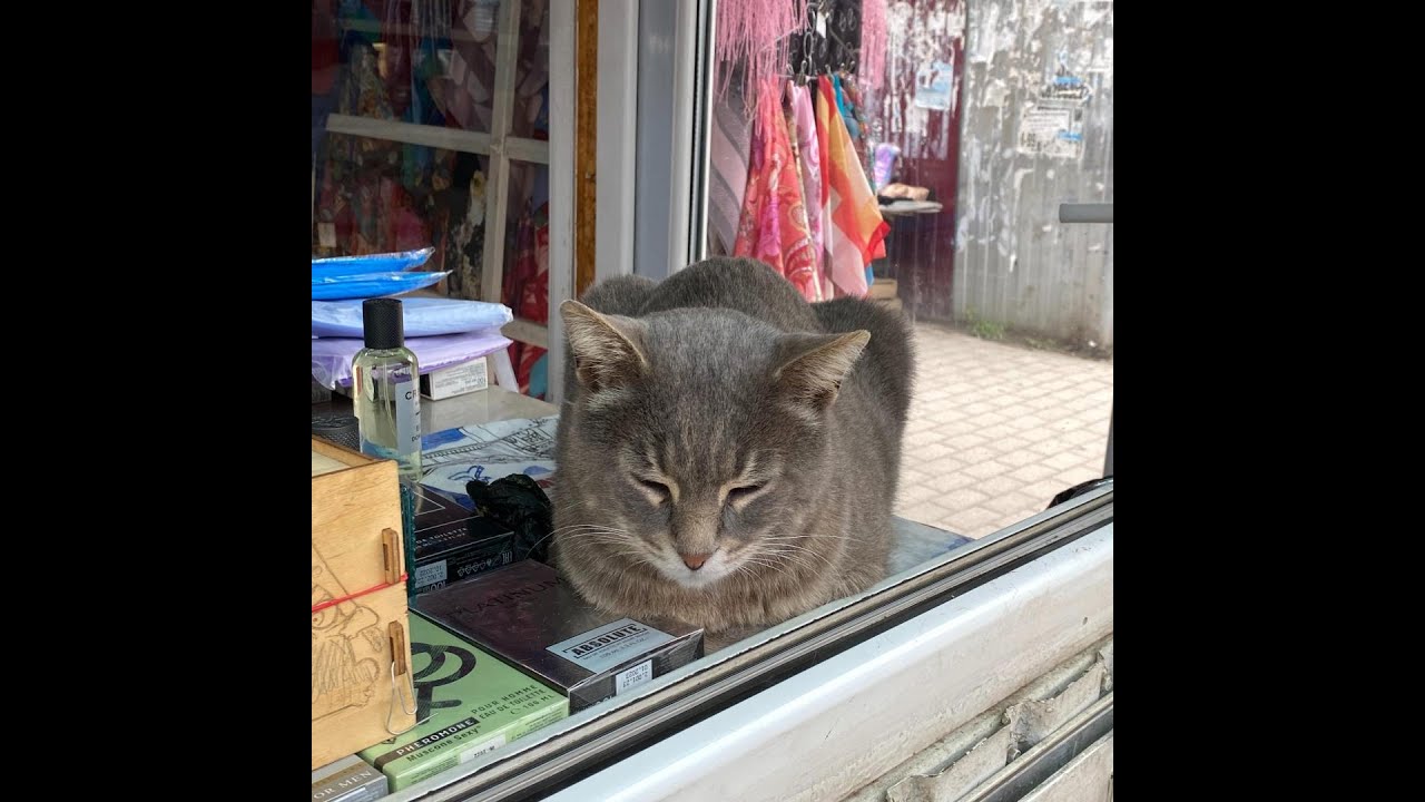 вышел покурить извини обложка. обложки в стиле вышел покурить. вышел покурить на дне черной воды. вышел покурить уличная жизнь минус. покурим.