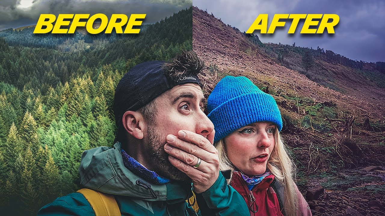 Our Favourite Peak District Forest is Disappearing