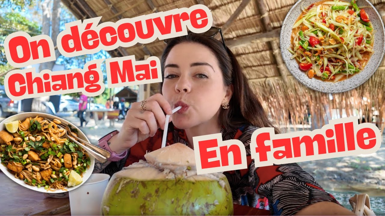 Vlog - Découverte de Chiang Mai (Marché de Warorot, lac Huay Tung Tao...)