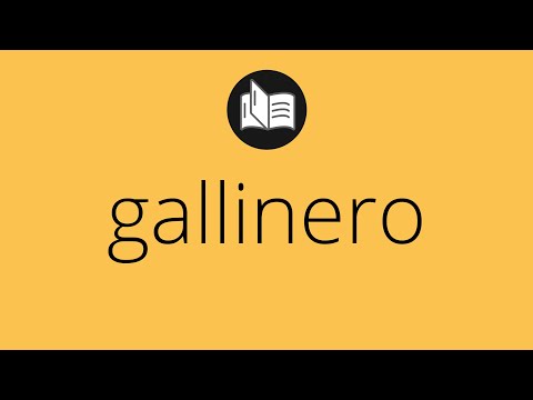 Video: ¿En la definición del gallinero?