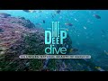 THE DEEP DIVE FINAL- A visit to unseen underwater world |