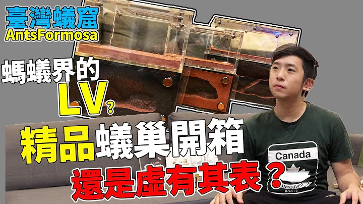 蚂蚁界的ＬＶ？精品蚁巢开箱｜【蚁窟日常】 - 天天要闻