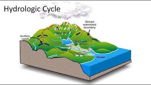Hydrologic Cycle