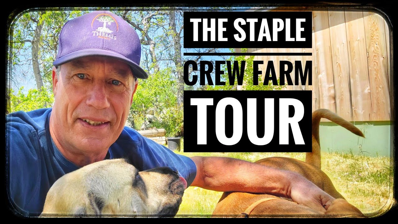 The staple crew farm tour YouTube