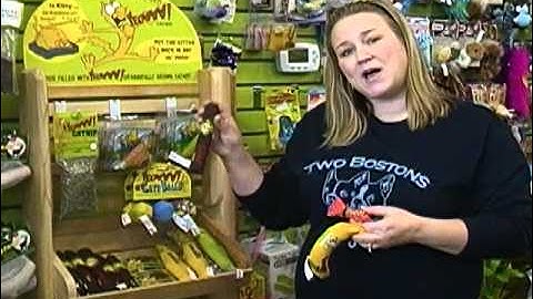 Duckyworld Yeowww Catnip Toys for cats - Two Bostons