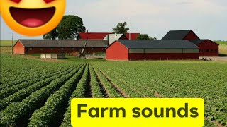 Farm sound effects all sounds