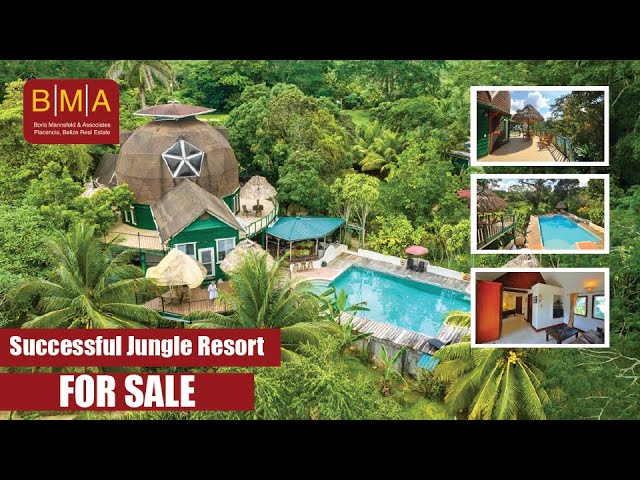Successful Jungle Resort FOR SALE!!