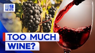 China tariff lift on Australian wine leaves industry in oversupply | 9 News Australia