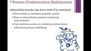 019-Tertiary Structure
