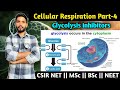 Cellular Respiration Part-4 || Inhibitors of Glycolysis || MSc || BSc || CSIR NET Life Sciences