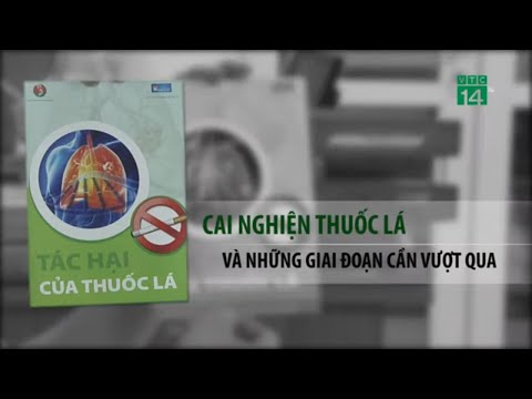 Video: Những Biện Pháp Nào đã được Thực Hiện để Chống Lại Việc Hút Thuốc Lá