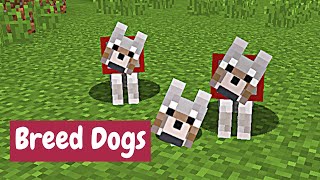 How To Breed Dogs - Minecraft Tutorial