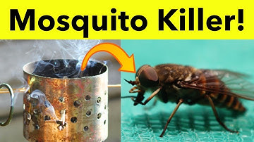 How to get rid of mosquitoes - How to kill mosquitoes - Best mosquito repellent