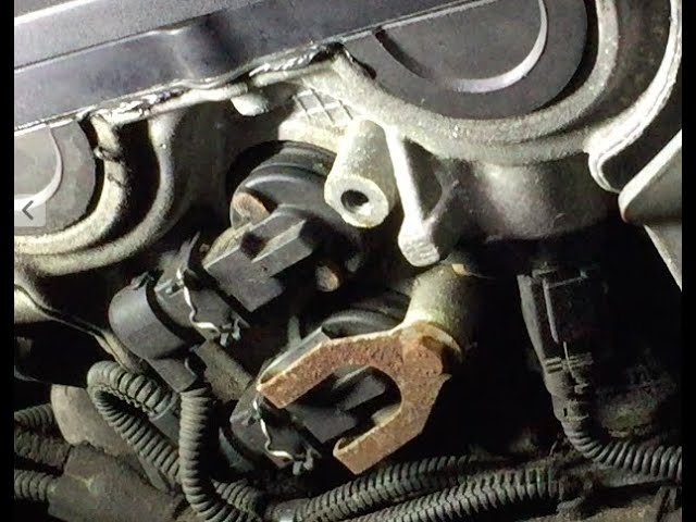 Bmw E46 Vanos Solenoid Cleaning | atelier-yuwa.ciao.jp