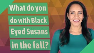 What do you do with Black Eyed Susans in the fall?