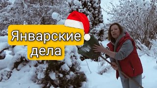 ЯНВАРСКИЕ ДЕЛА | САД ДЛЯ ДУШИ В ЯНВАРЕ