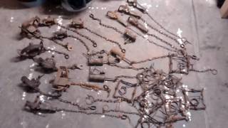 TRAPPING SERIES: Part #55- Trap Tags