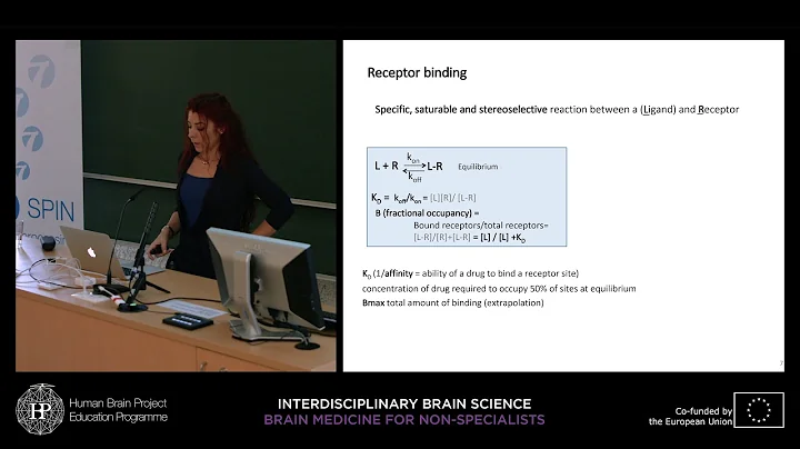 Lecture 10: Sandra Santos-Sierra - Principles of n...