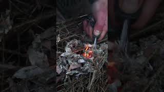 Winter Camping & Bushcraft with Minimal Gear  #bushcraft  #survival #camping #shorts