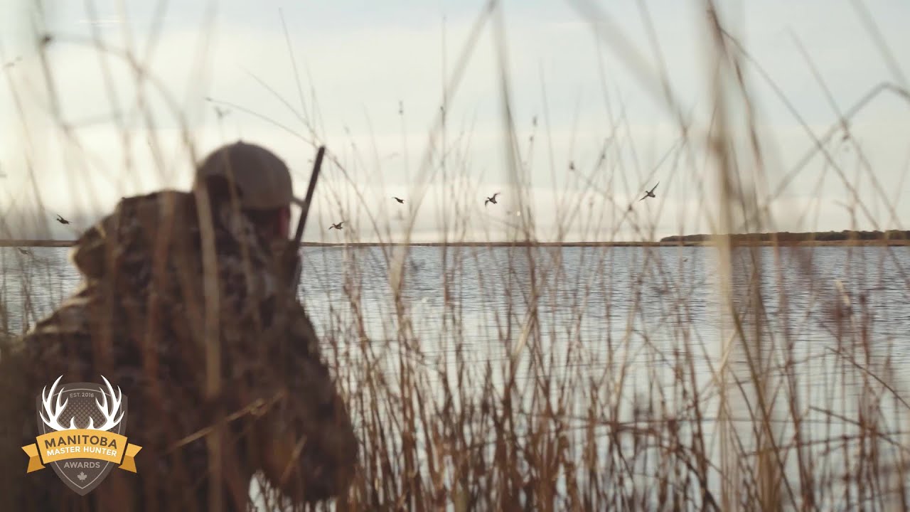 Diver Duck Hunting in Manitoba - Manitoba Master Hunter Minute 