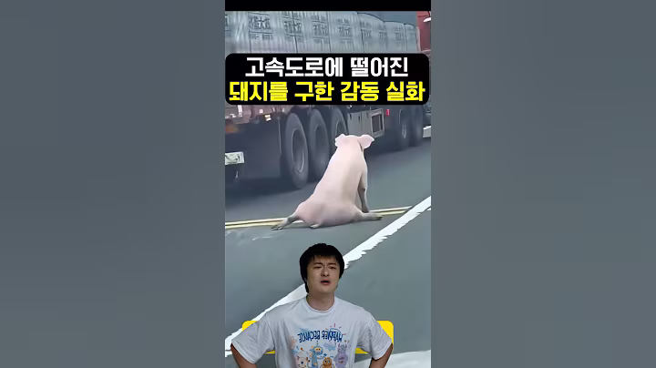 ㅠㅠ #감동 #실화 #감동사연 #실화사연 #추천