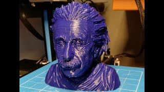 3D Printing Timelapse of Albert Einstein Bust