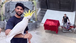 Turab Ka Parrot Mainy Receive Kr Lia 😍 Ab Aya Oonth Pahar K Neechy😎 screenshot 2