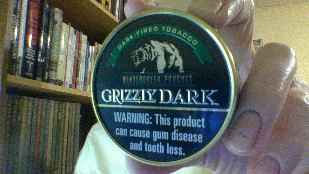 What is it? ~ Grizzly Dark Wintergreen Pouches - YouTube