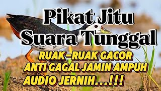 SUARA TUNGGAL RUAK-RUAK#PIKATANTIGAGAL#PIKATGACOR#AUDIOJERNIHRUAKRUAK