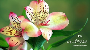 تـلاوة مباركـة سورة  " الرعد " كاملـة  يتلوها الشيخ |  محمد صديق المنشاوي