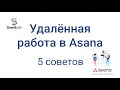 5 практичных советов для удаленной работы в Asana