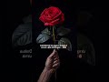 ovvoru padalilum #lifequotes #tamil #song #trending #ytshorts #status #video