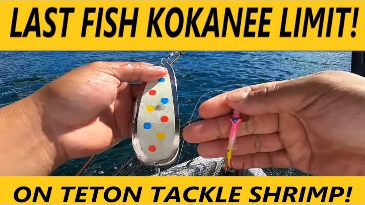 KOKANEE fishing limit before breakfast. Teton tackle DIY shrimp