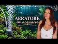 TUTTO sullAERATORE IN ACQUARIO! ????