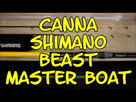 CANNA SHIMANO BEAST
