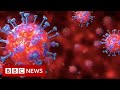 Coronavirus explained in 60 seconds  bbc news