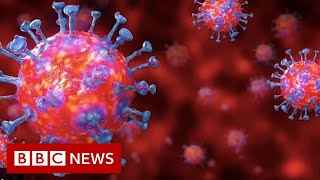 Coronavirus explained in 60 seconds - BBC News Resimi