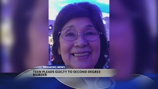Teen accused of killing 84-year-old Johnson County woman pleads guilty
