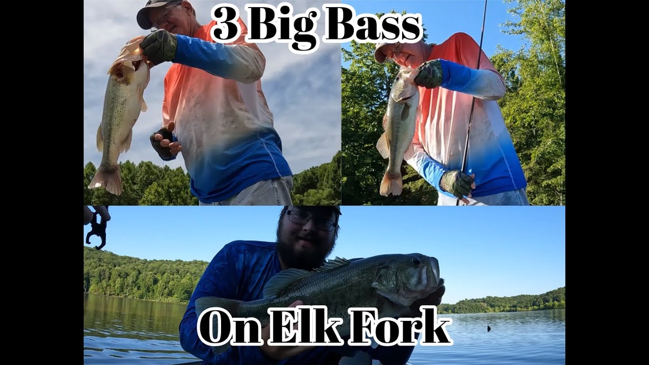 All kinds of Big BASS on Elk Fork