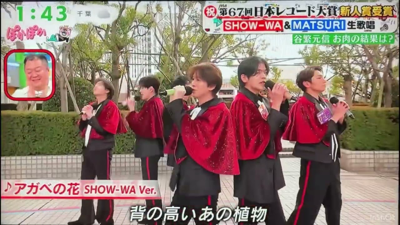 SHOW−WAが歌う『アカベの花』by【ぽかパー】2026.2.17