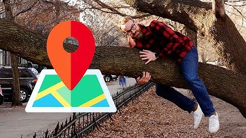 Making a map of every single tree in New York City