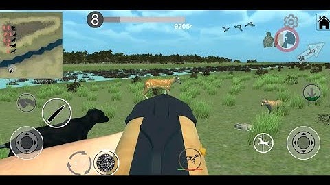 Hunting Simulator Game. The Hunter Simulator - GAMEPLAY!