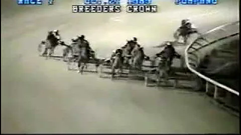 1989 Pompano Park DELPHI'S LOBELL Breeders Crown 2...