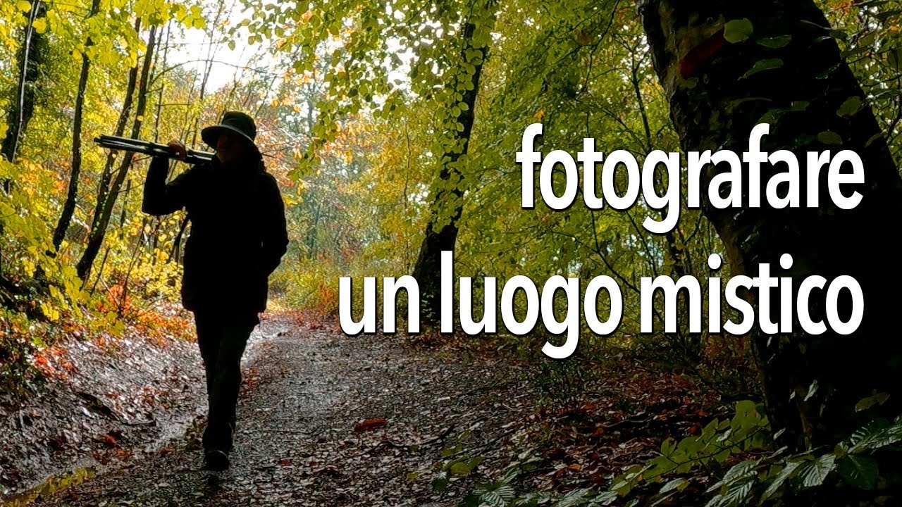 Fotografare l'eremo di San Girolamo, in un bosco mistico