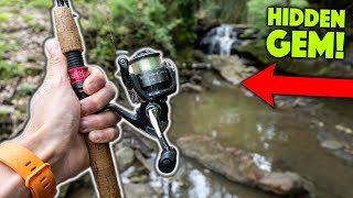 Ultralight Creek Fishing Adventure In Cleveland!