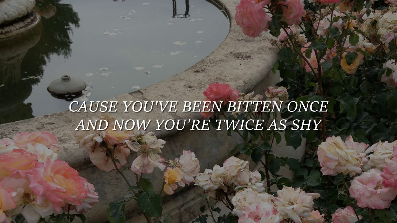 marina and the diamonds // i'm a ruin (lyrics)