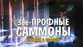 3ье-ПРОФНЫЕ САММОНЫ (Lineage 2 Classic)