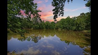 207 Jackie Byrd Rd, Plain Dealing, LA 71064 branded
