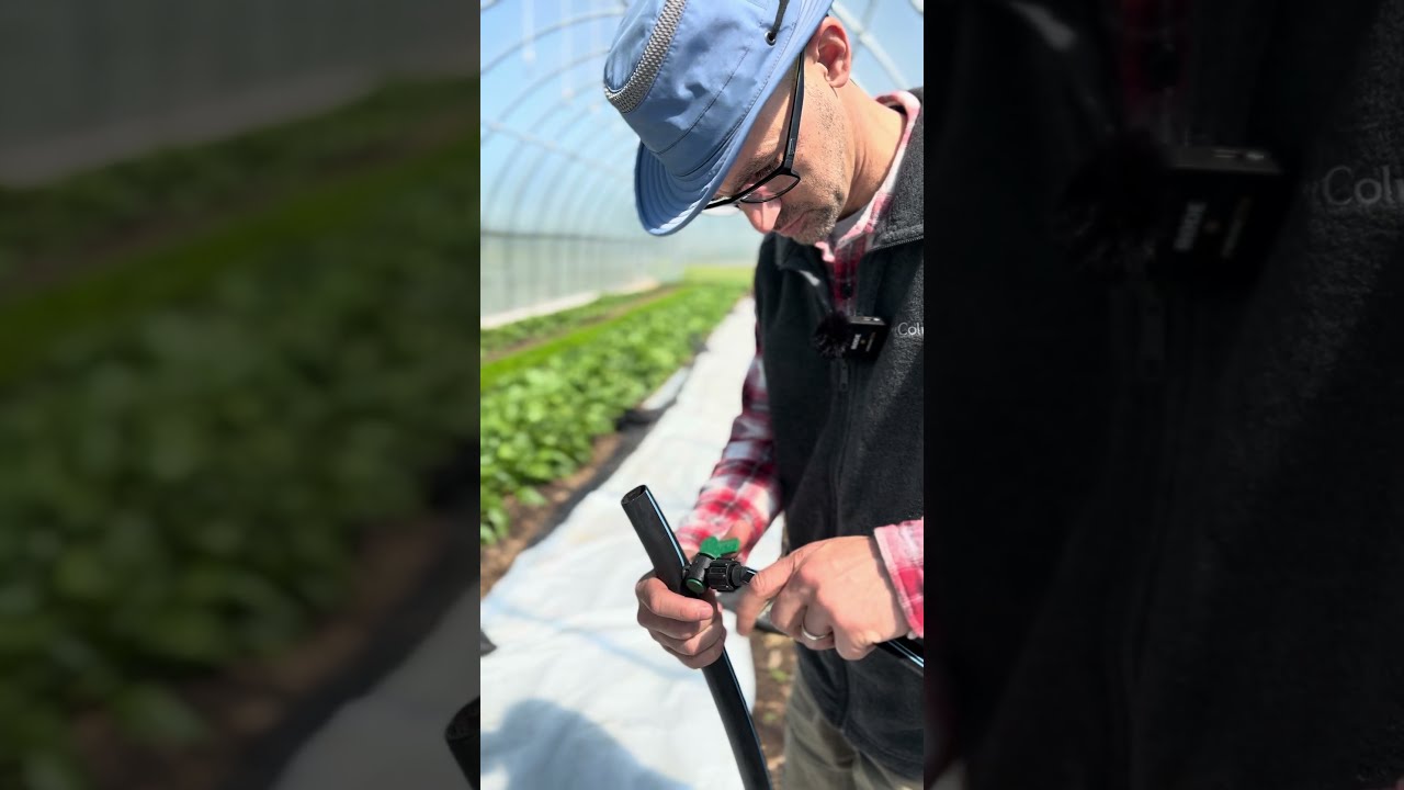 How To Install Drip Tape On A Header Pipe Farming Shorts